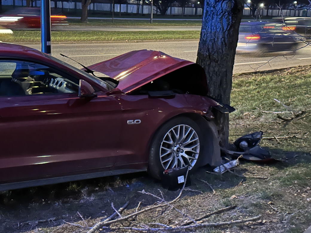 Roztrzaskał się mustangiem na drzewie. Wstrząsający wypadek, kierowca w ciężkim stanie