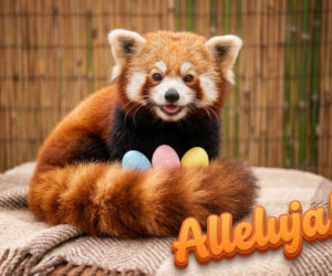 Fajne kartki na Wielkanoc