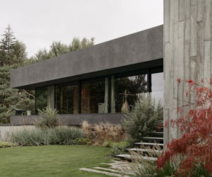 Dom wokół drzewa w Poznaniu. Betonowa willa projektu PL.architekci