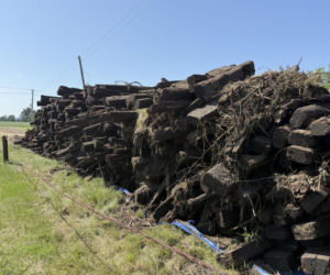 Wielki powrót legendy Ponidzia! Ciuchcia przechodzi metamorfozę za 29 milionów