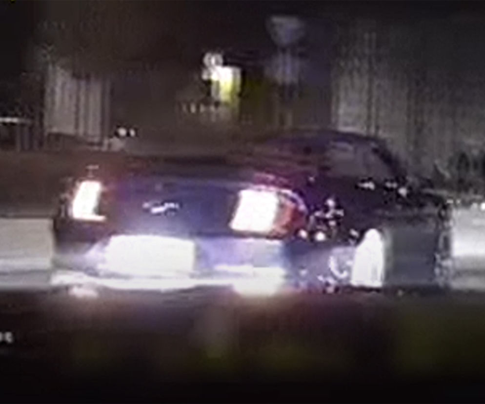 Mustang szalał po rondzie. Złapali go na gorącym uczynku