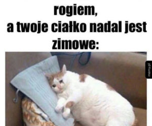 Pierwszy dzień wiosny 2022 w MEMACH