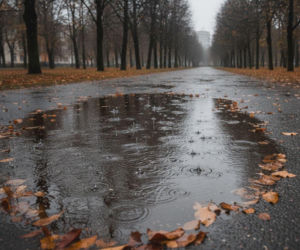 Jeden dzień weekendu w Gorzowie Wielkopolskim będzie deszczowy. To może zmienić plany