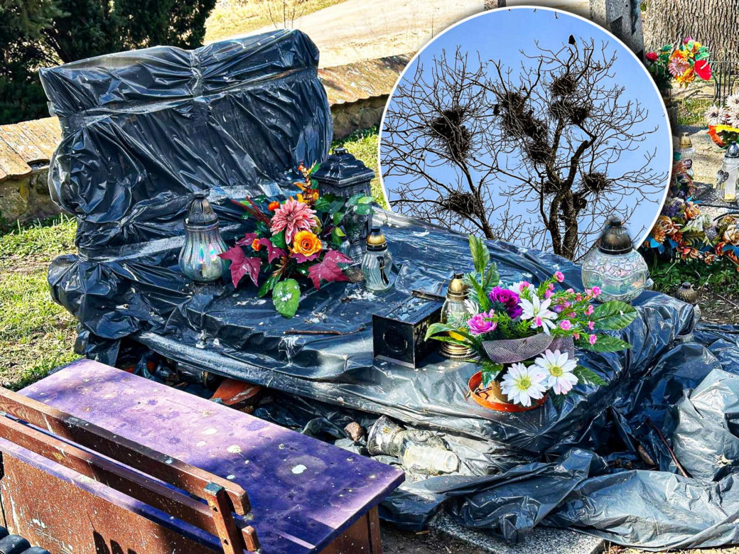 Ptasi terror w Jezioranach! Cmentarz tonie w odchodach, a mieszkańcy są bezradni. „Groby trzeba owijać folią!”