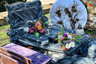 Ptasi terror w Jezioranach! Cmentarz tonie w odchodach, a mieszkańcy są bezradni. „Groby trzeba owijać folią!”