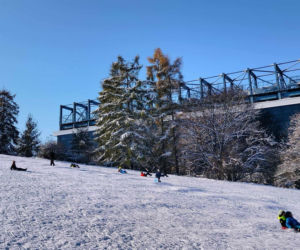 Gdzie w Krakowie można iść na sanki? Oto lista górek saneczkowych w mieście. Tuta czuć zimę!