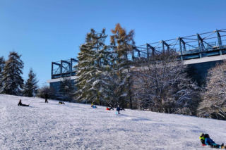 Gdzie w Krakowie można iść na sanki? Oto lista górek saneczkowych w mieście. Tuta czuć zimę!
