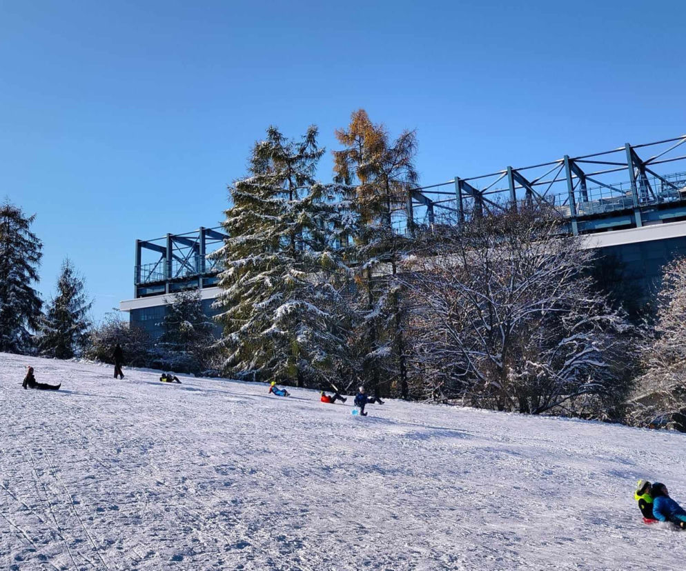 Gdzie w Krakowie można iść na sanki? Oto lista górek saneczkowych w mieście. Tuta czuć zimę!