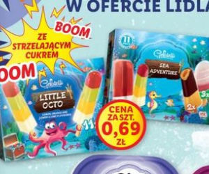 Mega promocje w Lidlu