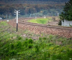 Przejechał po nim pociąg i żyje