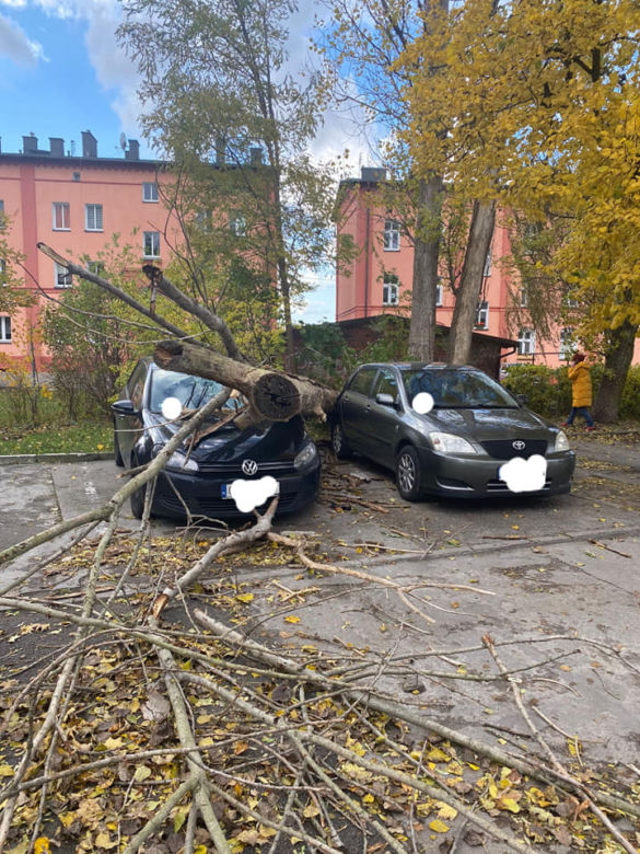 Wichury w Toruniu. Żywioł wywracał drzewa i nie tylko