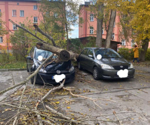 Wichury w Toruniu. Żywioł wywracał drzewa i nie tylko