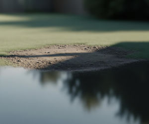 Tajemnicze zaginięcie Grażyny Ż. Czy mąż naprawdę ukrywał ciało w ogródku?