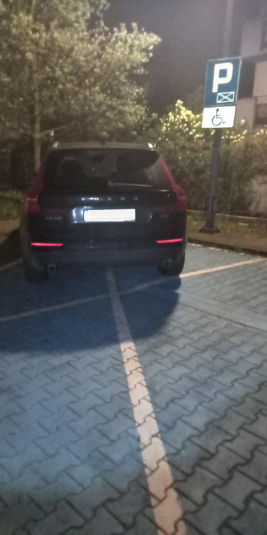 Kraków. Mistrzowie parkowania wyróżnieni przez straż miejską. "Prezentujemy dokonania naszych lokalnych zawodowców"