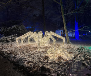 MagicznyBotaniczny 2025/2026 w Warszawie