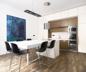Nowoczesny apartament w samym sercu Pragi