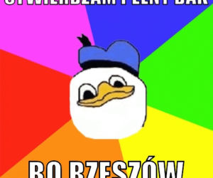 Memy o Rzeszowie