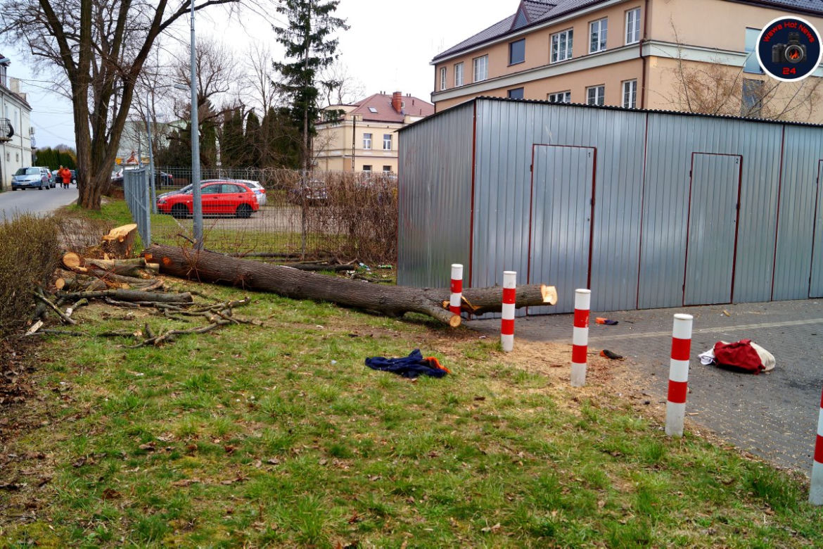 Drzewo przygniotło robotnika w Konstancinie