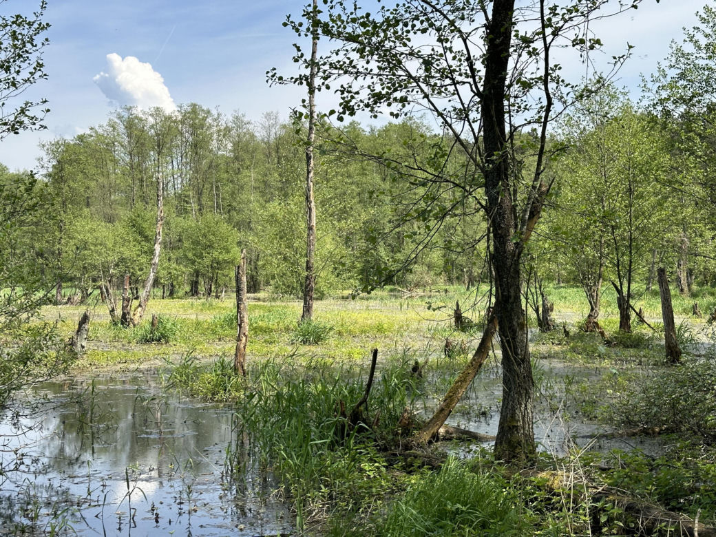 Największa pustynia w Europie leży w Małopolsce. „Róża Wiatrów” turystycznym hitem