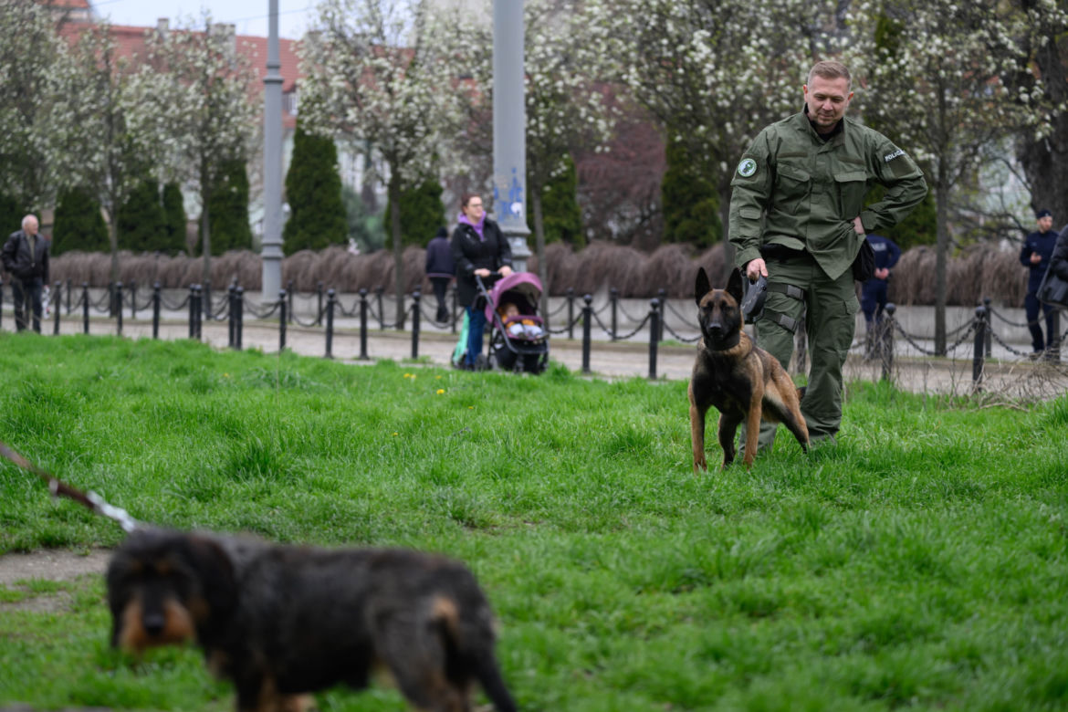 Poznań: Ćwiczenia "Wolf-Ram 23" w Parku Chopina