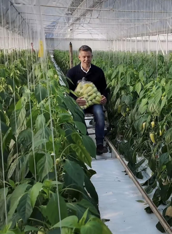 Peter Magyar - lider partii TISZA i jego życie