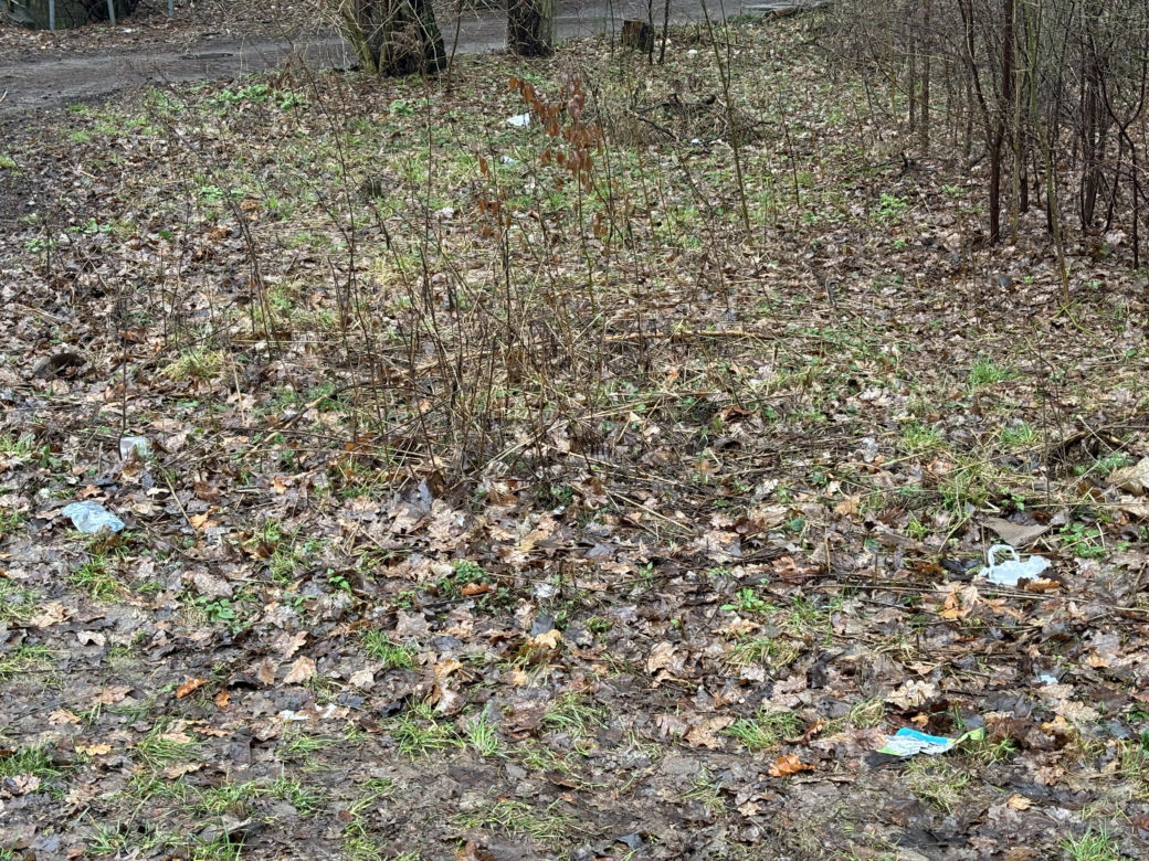 Tak źle jeszcze nie było? Olsztyn cały zaśmiecony. „Jest to problem dla właścicieli zwierząt i turystów”