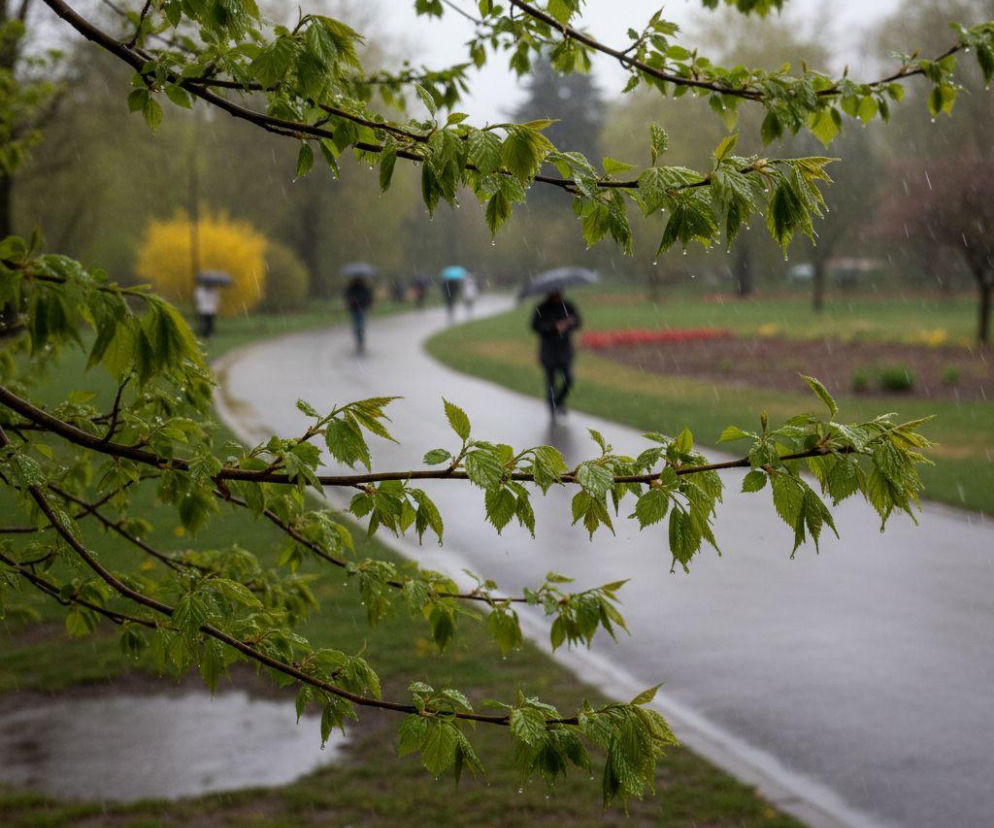 AI zdjęcie do artykułu