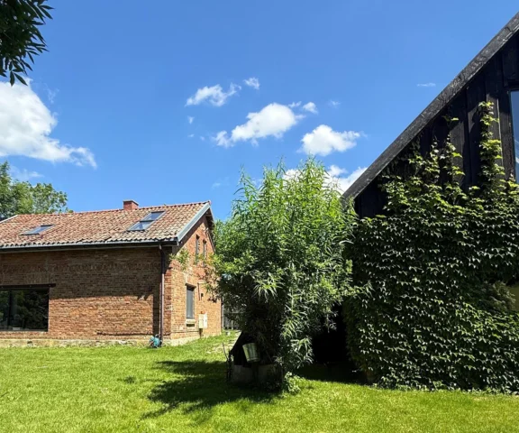 W mazurskim domu z 1939 roku mieszkało 50 kotów. I wtedy pojawił się Kuba