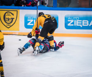 GKS Katowice - KH Energa Toruń 0:1, zdjęcia z Katowic