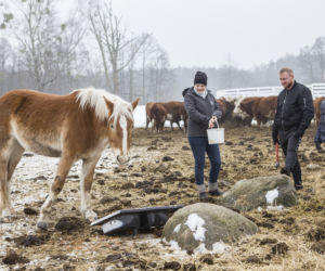 Rolnicy. Podlasie - odcinek 7. Premiera 25 kwietnia