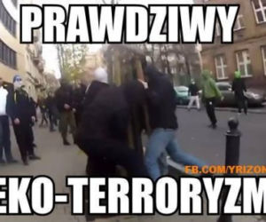 Marsz Niepodległości 2014 memy