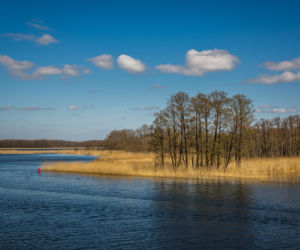 Jezioro Kirsajty (Pojezierze Mazurskie, Warmia i Mazury)