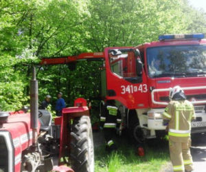 Ucieczka krowy zakończyła się nieszczęśliwym wypadkiem