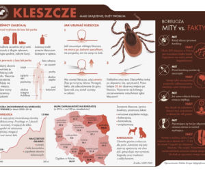 Kleszcze przenoszą boreliozę i kleszczowe zapalnie opon mózgowych
