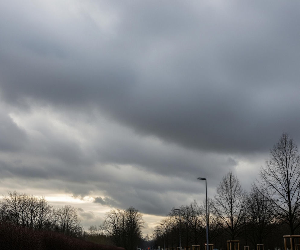 Szeroki widok na pochmurne niebo dominujące nad horyzontem, zajmując około dwóch trzecich kadru. Szare chmury rozciągają się od lewej do prawej, z jaśniejszymi fragmentami widocznymi w dolnej części nieba, sugerującymi ukryte za chmurami słońce. W dolnej części obrazu widoczny jest krajobraz z licznymi drzewami i krzewami pozbawionymi liści, tworzącymi ciemne sylwetki na tle jaśniejszego nieba. Po prawej stronie kadru, w oddali, dostrzec można linię lamp ulicznych oraz drogi.