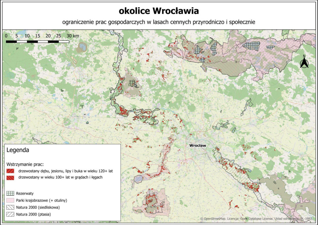 Zakaz wycinania drzew w lasach pod Wrocławiem. Nowa ministra Klimatu i Środowiska zdecydowała