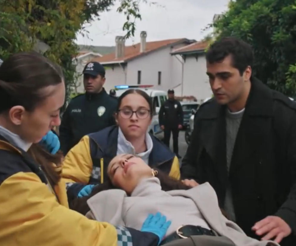 Złoty chłopak odcinek 278