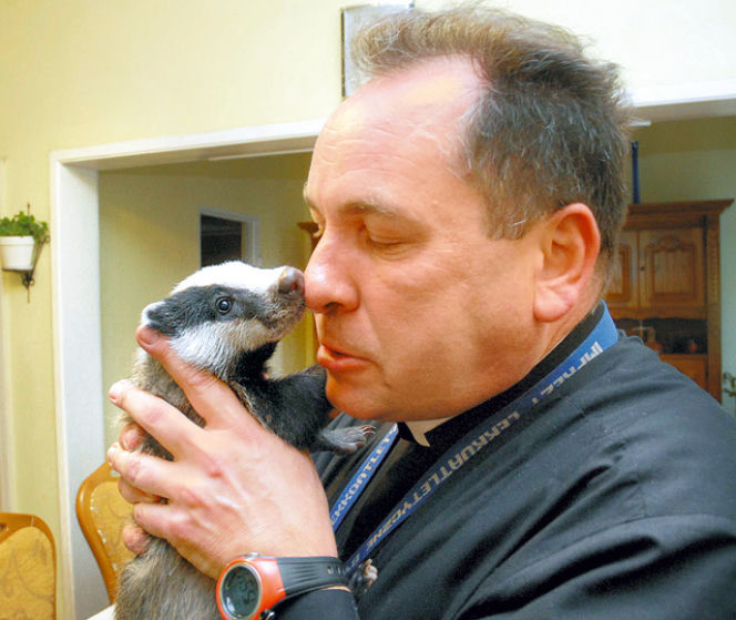 Ksiądz Sylwester: Nie śpię, bo karmię borsuka