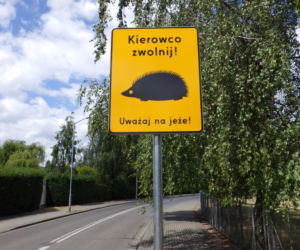 Nie rozJEŻdżaj! W Chorzowie pojawiły się nietypowe znaki [ZDJĘCIA, WIDEO]