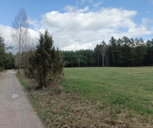 Placówka „Pierzyna”. Jak konspiratorzy przygotowywali się na przyjęcie Cichociemnych