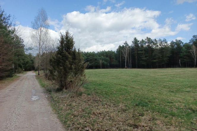 Placówka „Pierzyna”. Jak konspiratorzy przygotowywali się na przyjęcie Cichociemnych