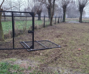 Koszmar w agroturystyce. Owce i daniele zagryzione, część zwierząt wrzucona do stawu!