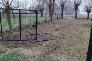 Koszmar w agroturystyce. Owce i daniele zagryzione, część zwierząt wrzucona do stawu!