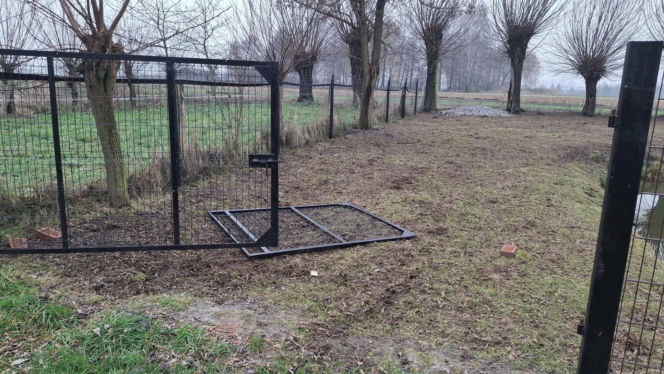 Koszmar w agroturystyce. Owce i daniele zagryzione, część zwierząt wrzucona do stawu!