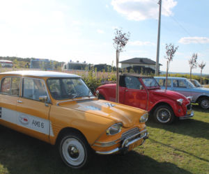 5. Urodziny Ars Old Car