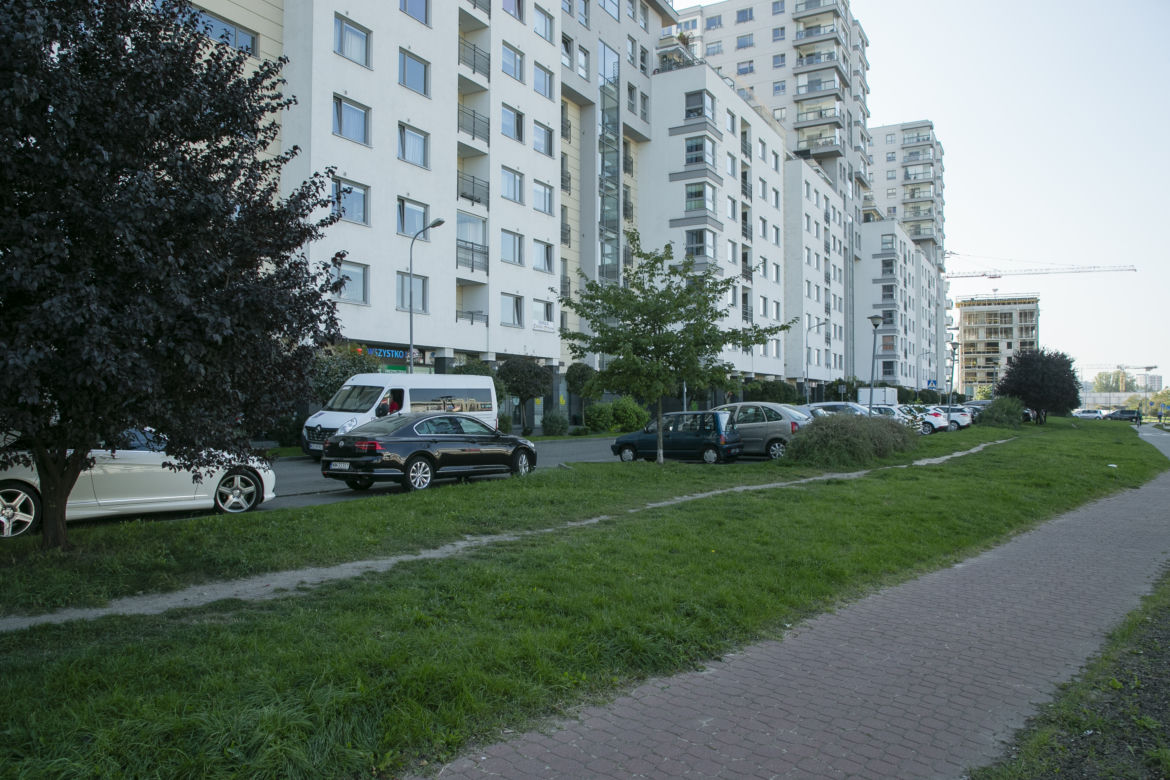 Koza sterroryzowała zakład fryzjerski 