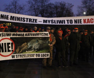 Szczecinianie protestowali przeciwko odstrzałowi dzików