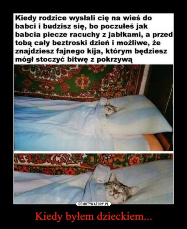 Światowy Dzień Kota 2022. Zobacz najśmieszniejsze obrazki i MEMY z kotami! 