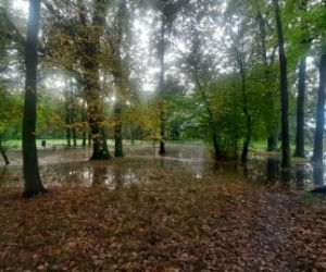 Wrocław: NIEBEZPIECZNIE w Parku Wschodnim! Oława wystąpiła z brzegów! WIELKIE rozlewisko! 