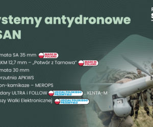 Lista programów SAFE